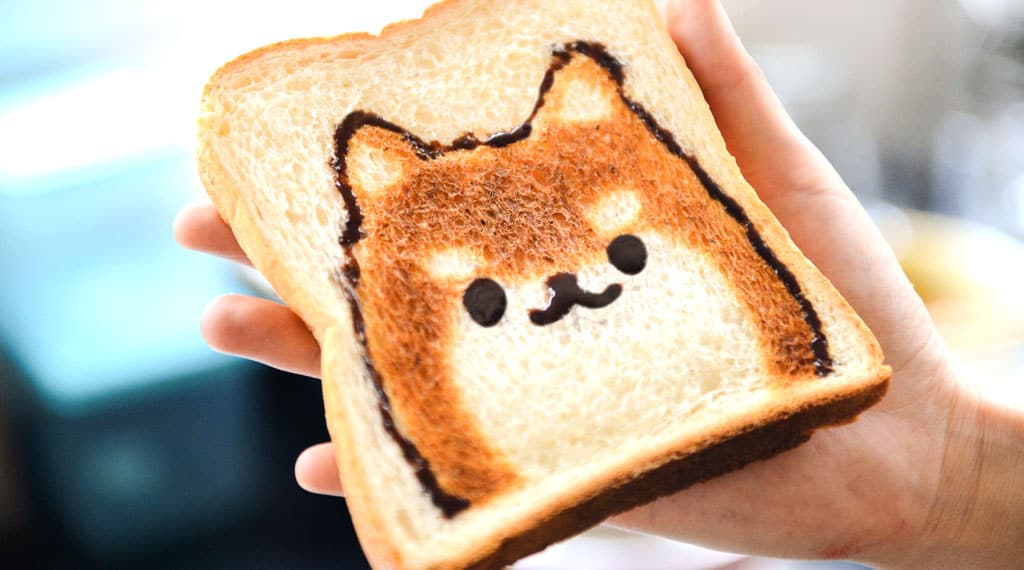 best food for labrador puppy