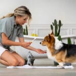 10 Essential Tips to Help Your Dog Live a Longer, Healthier Life Essential Tips to Help Your Dog Live a Longer, Healthier Life